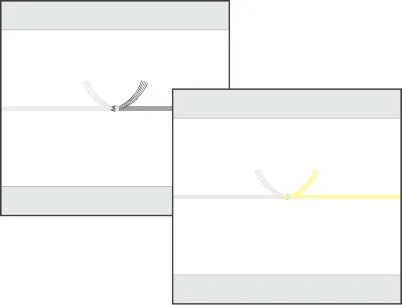 黒白の結び切り（関西は黄白の結び切り）